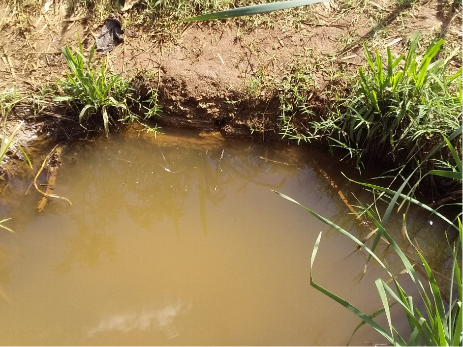 Water and sanitation campaign
